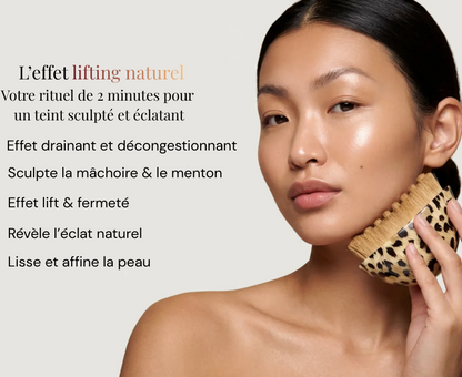 Elixa- brosse Sculptante Lymphatique