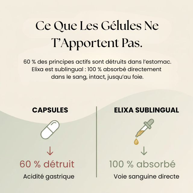 Elixa Lift & Fermeté